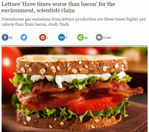 Organic Contradictions 1 - Lettuce better than Bacon